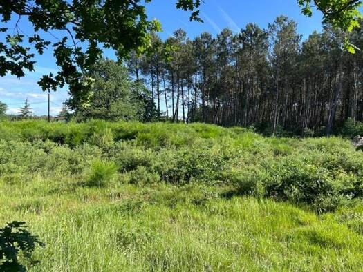 Terrain constructible à vendre - neuf 99 000 € 1 796 m² de terrain Lesperon 40260