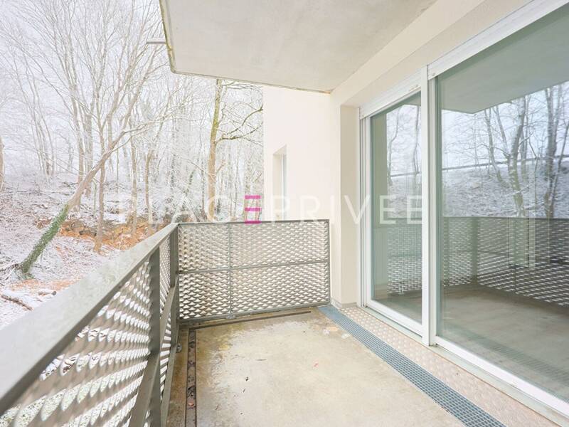 Maison à louer, 47m², MAXEVILLE