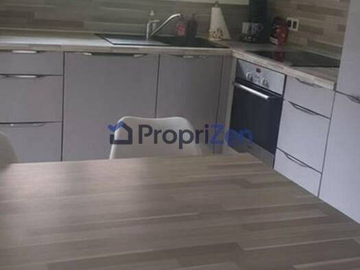 Appartement à louer 1 170 € 3 pièces 2 chambres 66 m² RDC/2 Entzheim 67960