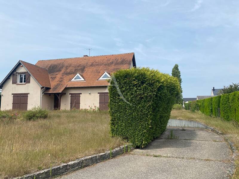 Maison à vendre, 260m², SAINT DENIS DE L'HOTEL