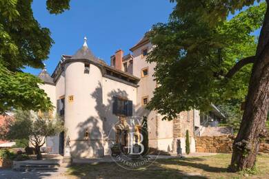 Château à vendre 3 790 000 € 20 pièces 7 chambres 760 m² 4 000 m² de terrain Vieux Lyon Lyon 5ème 69005