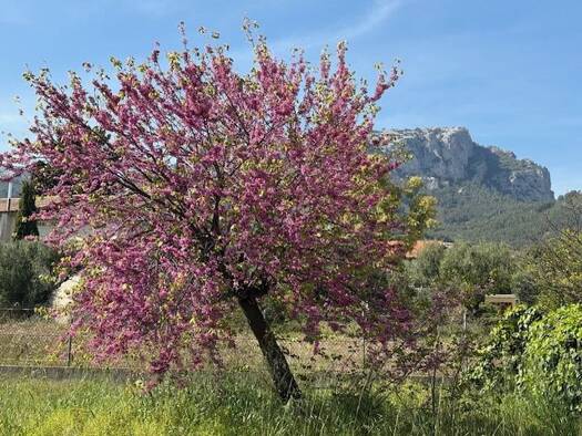 Terrain constructible à vendre 252 000 € 383 m² de terrain Toulon 83200