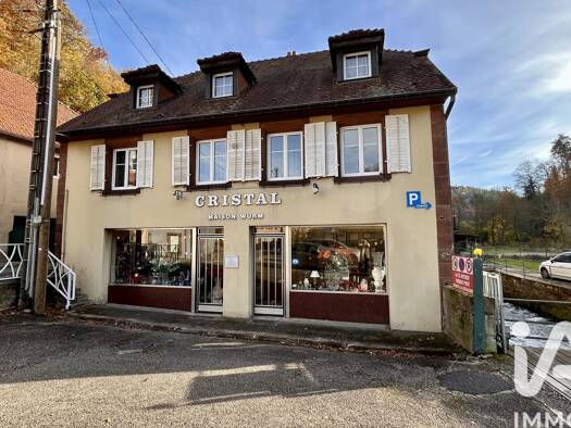 Immeuble à vendre 319 000 € 500 m² Lutzelbourg 57820