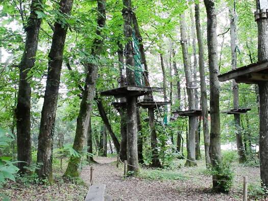 Activités diverses à vendre Fonds de commerce 198 300 € 1 pièce 1 500 m² de surface de vente Beaune les Mines Limoges 87280