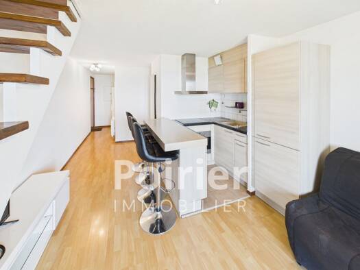 Duplex à louer 1 050 € 3 pièces 1 chambre 43,64 m² Étage 1/1 Évian-les-Bains 74500