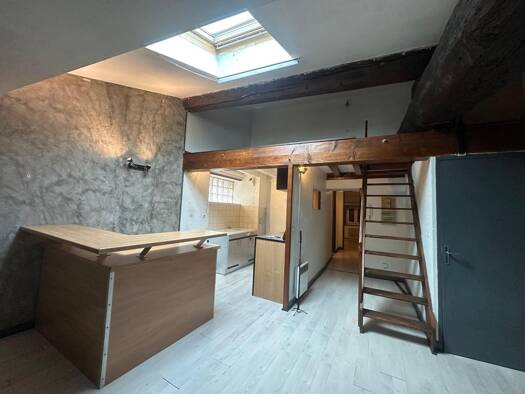 Appartement à louer 535 € 2 pièces 1 chambre 51 m² Étage 3/3 Canal Givors 69700