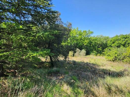 Terrain à vendre 59 000 € 1 000 m² de terrain Barjac 30430