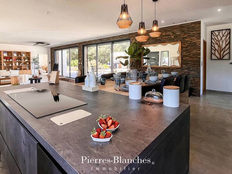 Maison à vendre, 320m², NIMES