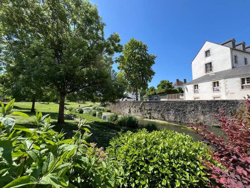 Maison à louer, 51m², MEUNG SUR LOIRE
