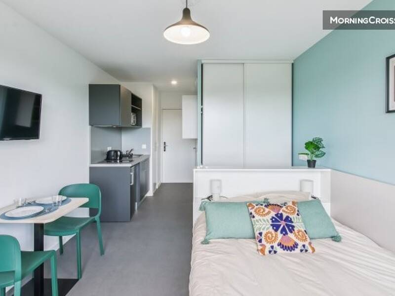 Maison à louer, 20m², PELLOUAILLES LES VIGNES