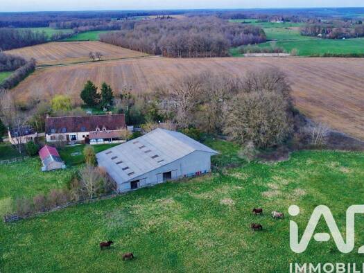 Maison à vendre 385 000 € 14 pièces 6 chambres 370 m² 19 723 m² de terrain Sommecaise 89110