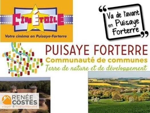 Maison en viager occupé Bouquet 12 900 € 6 pièces 4 chambres 118 m² 159 m² de terrain Saint-Sauveur-en-Puisaye 89520