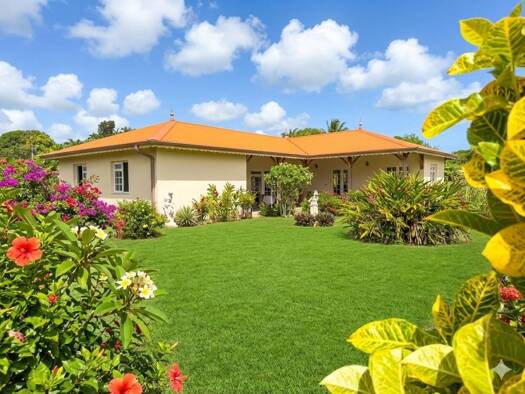 Maison de plain-pied à vendre 300 000 € 2 pièces 1 chambre 113 m² 1 000 m² de terrain Basse-Pointe 97218