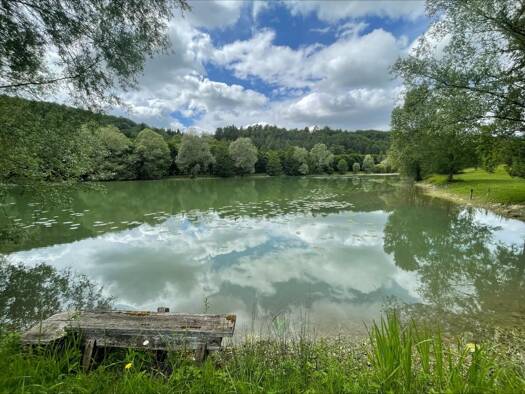 Terrain à vendre 160 000 € 128 600 m² de terrain Aromas 39240