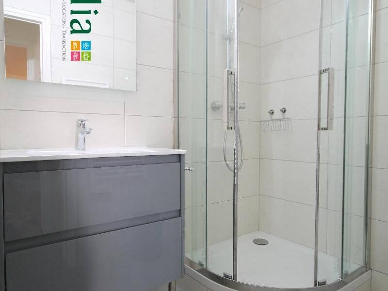 Maison à louer, 45m², GRENOBLE