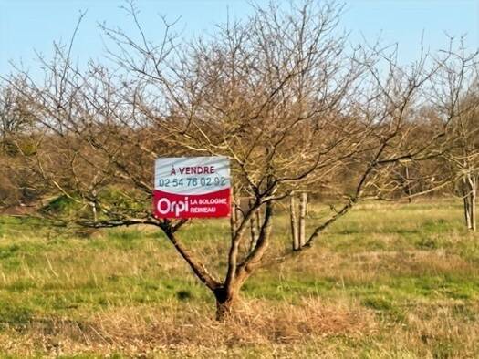 Terrain constructible à vendre 23 500 € 1 290 m² de terrain Châtres-sur-Cher 41320