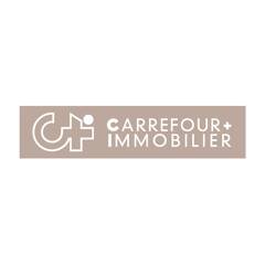 CARREFOUR +IMMOBILIER logo