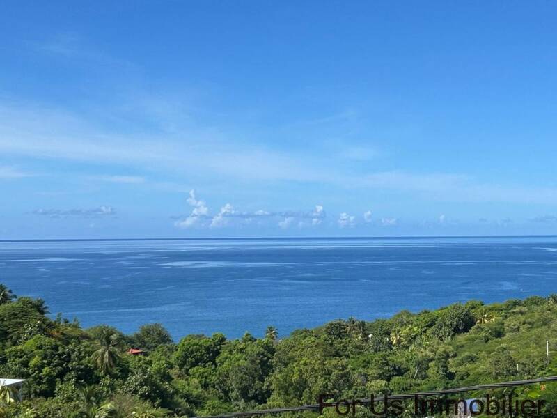 Maison à vendre, 215m², VIEUX HABITANTS