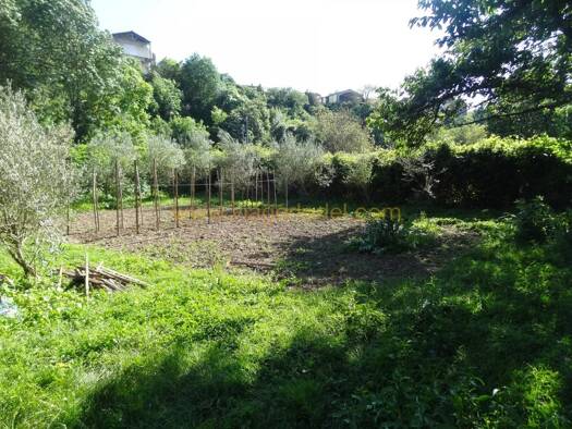 Maison en viager occupé Bouquet 39 990 € 3 pièces 2 chambres 55 m² 835 m² de terrain Les Aires 34600