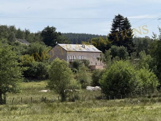 Maison à vendre 367 500 € 9 pièces 7 chambres 218 m² 23 245 m² de terrain Saint-Agnan 58230