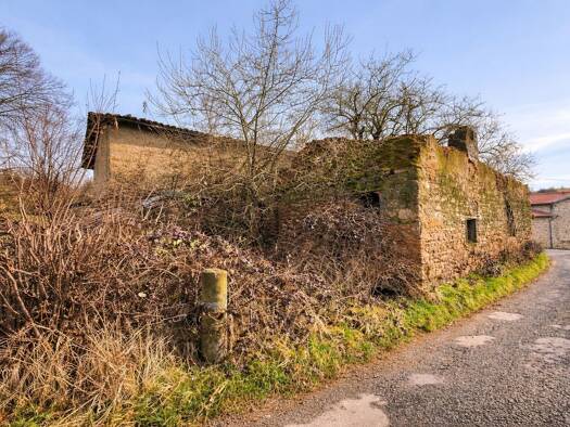 Ferme à vendre 49 900 € 4 pièces 3 chambres 200 m² 5 000 m² de terrain Montromant 69610