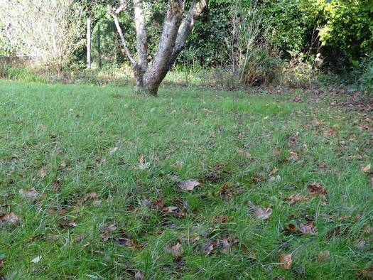 Terrain constructible à vendre 96 700 € 808 m² de terrain Est Gouesnou 29850