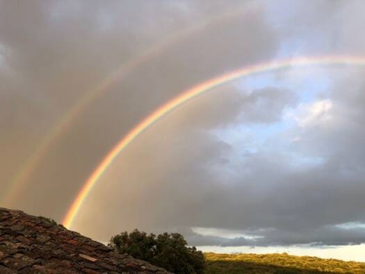 Demeure à vendre 1 350 000 € 20 pièces 15 chambres 750 m² 70 000 m² de terrain Tornac 30140