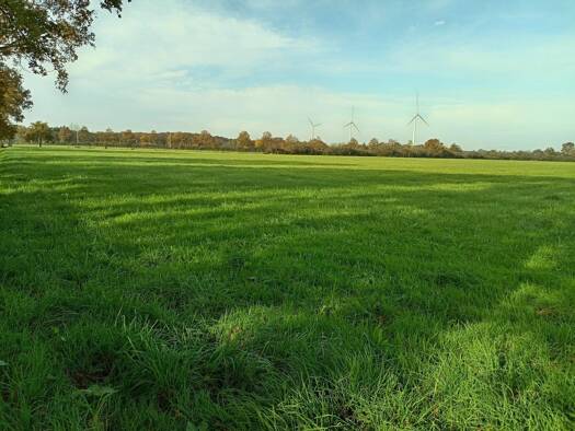 Terrain à vendre 352 000 € 170 000 m² de terrain Riaillé 44440