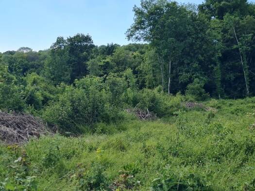 Terrain constructible à vendre 117 000 € 2 900 m² de terrain Chamigny 77260