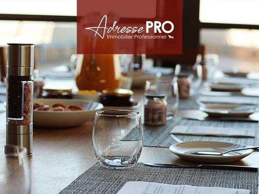 Boutique à vendre Fonds de commerce 343 696 € 1 pièce 240 m² de surface de vente Villenave-d'Ornon 33140