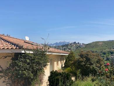 Maison à vendre 510 000 € 4 pièces 3 chambres 241 m² 3 000 m² de terrain Peri 20167