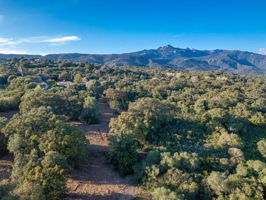 Terrain à vendre - de 1.1M € 8 565 m² de terrain Pianottoli-Caldarello 20131