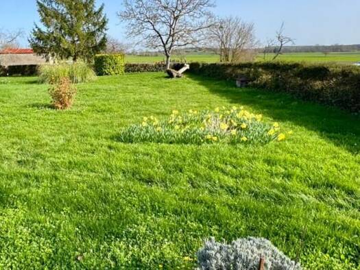Terrain constructible à vendre 18 515 € 581 m² de terrain Saint-Seurin-de-Palenne 17800