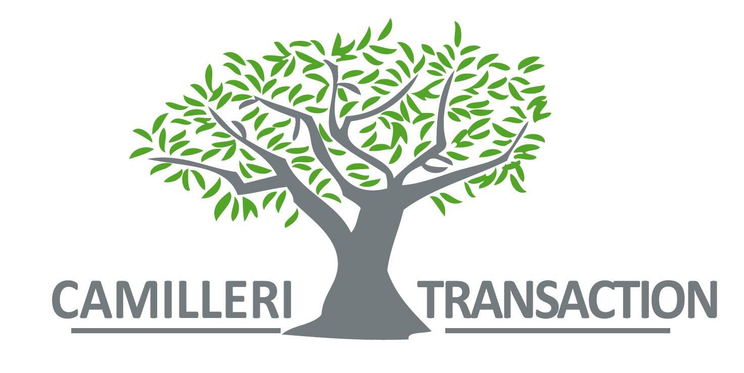 CAMILLERI TRANSACTION