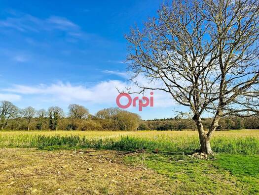 Terrain constructible à vendre 103 500 € 1 302 m² de terrain Trédion 56250
