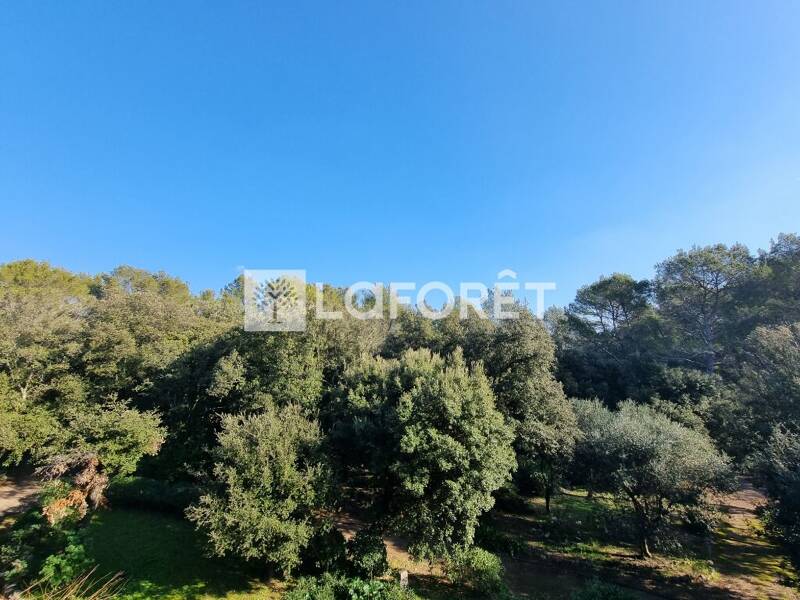 Maison à louer, 23m², PEYMEINADE