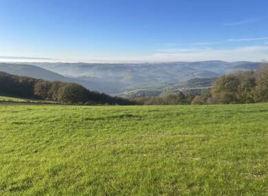 Ferme à vendre 99 100 € 1 pièce 1 chambre 105 m² 10 000 m² de terrain Montromant 69610
