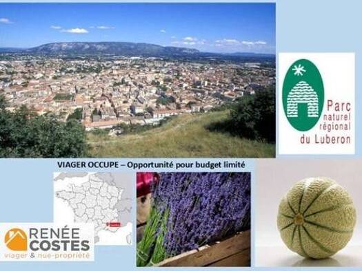 Maison en viager occupé Bouquet 48 525 € 5 pièces 5 chambres 81 m² 1 175 m² de terrain Basses Ferrailles-Jas Cavaillon 84300