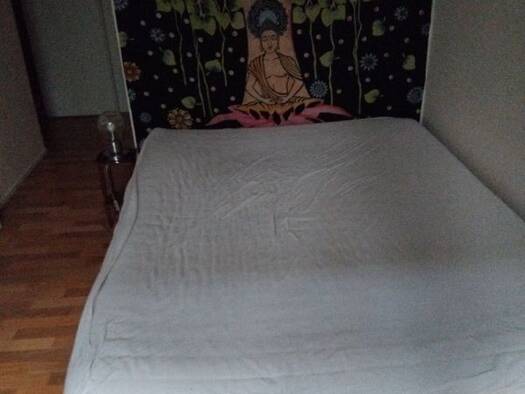 Appartement à louer - logement étudiant 650 € 1 pièce 1 chambre 15 m² Étage 1/1 Plateau Ouest Suresnes 92150