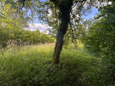 Propriété de loisirs à vendre 17 500 € 6 365 m² de terrain La Liberation Bar-le-Duc 55000