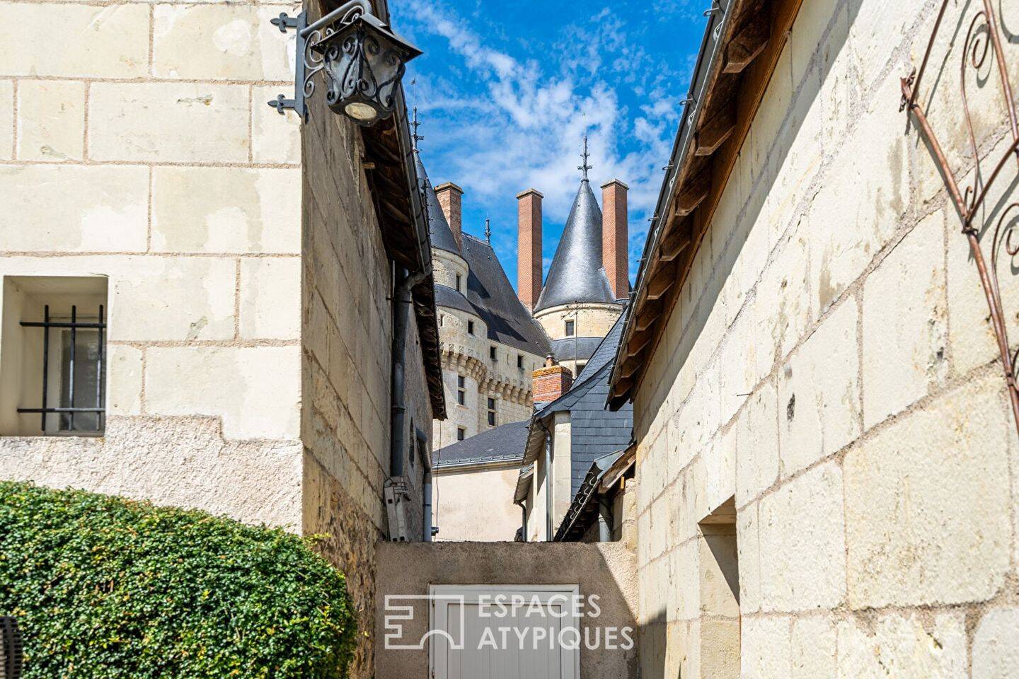 Maison à vendre, 420m², LANGEAIS