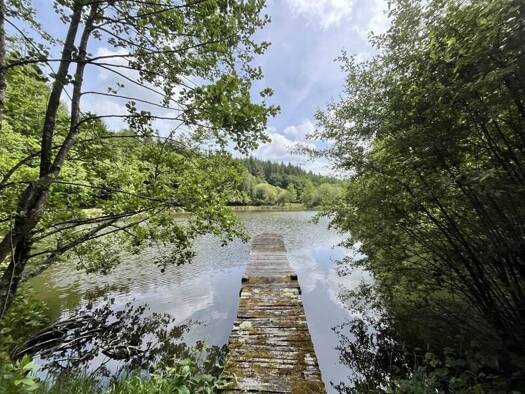 Terrain à vendre 56 000 € 14 580 m² de terrain Bussiere Galant 87230