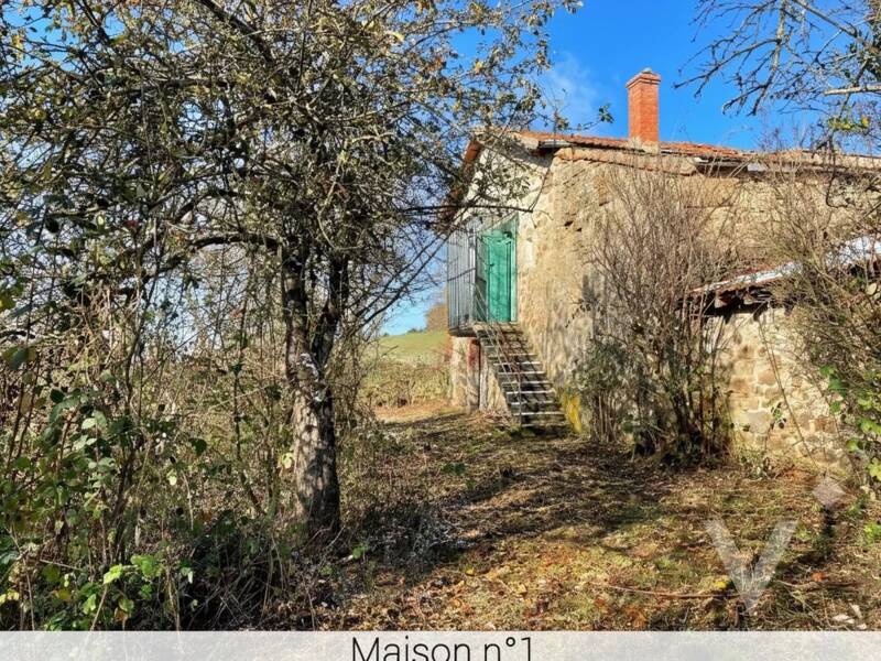 Maison à vendre, 466m², MONISTROL SUR LOIRE