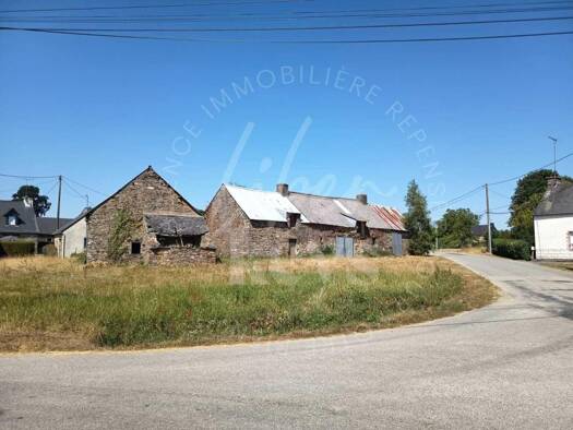 Maison à vendre 69 000 € 1 chambre 250 m² 1 141 m² de terrain Saint-Congard 56140