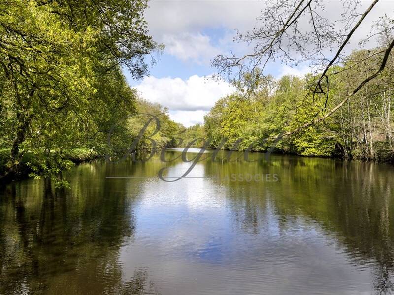Maison à vendre, 360m², POIGNY LA FORET