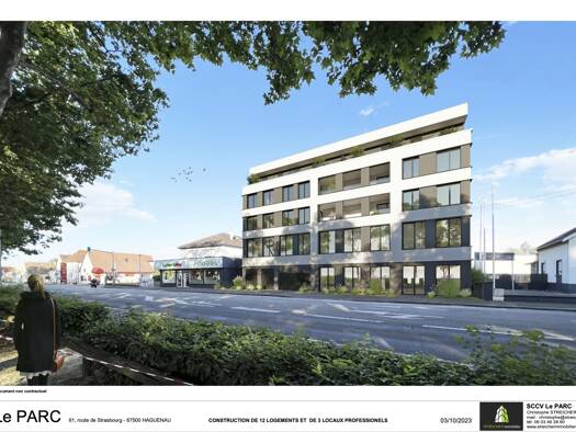 Appartement à vendre - neuf 295 000 € 3 pièces 2 chambres 72,24 m² dès le 30/09/2026 Bildstoeckel Haguenau 67500