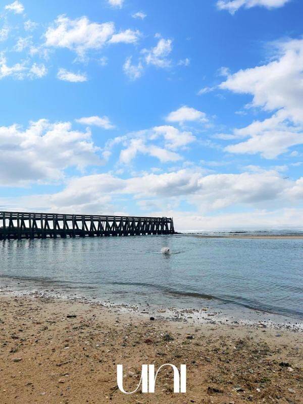 Maison à vendre, 29m², COURSEULLES SUR MER