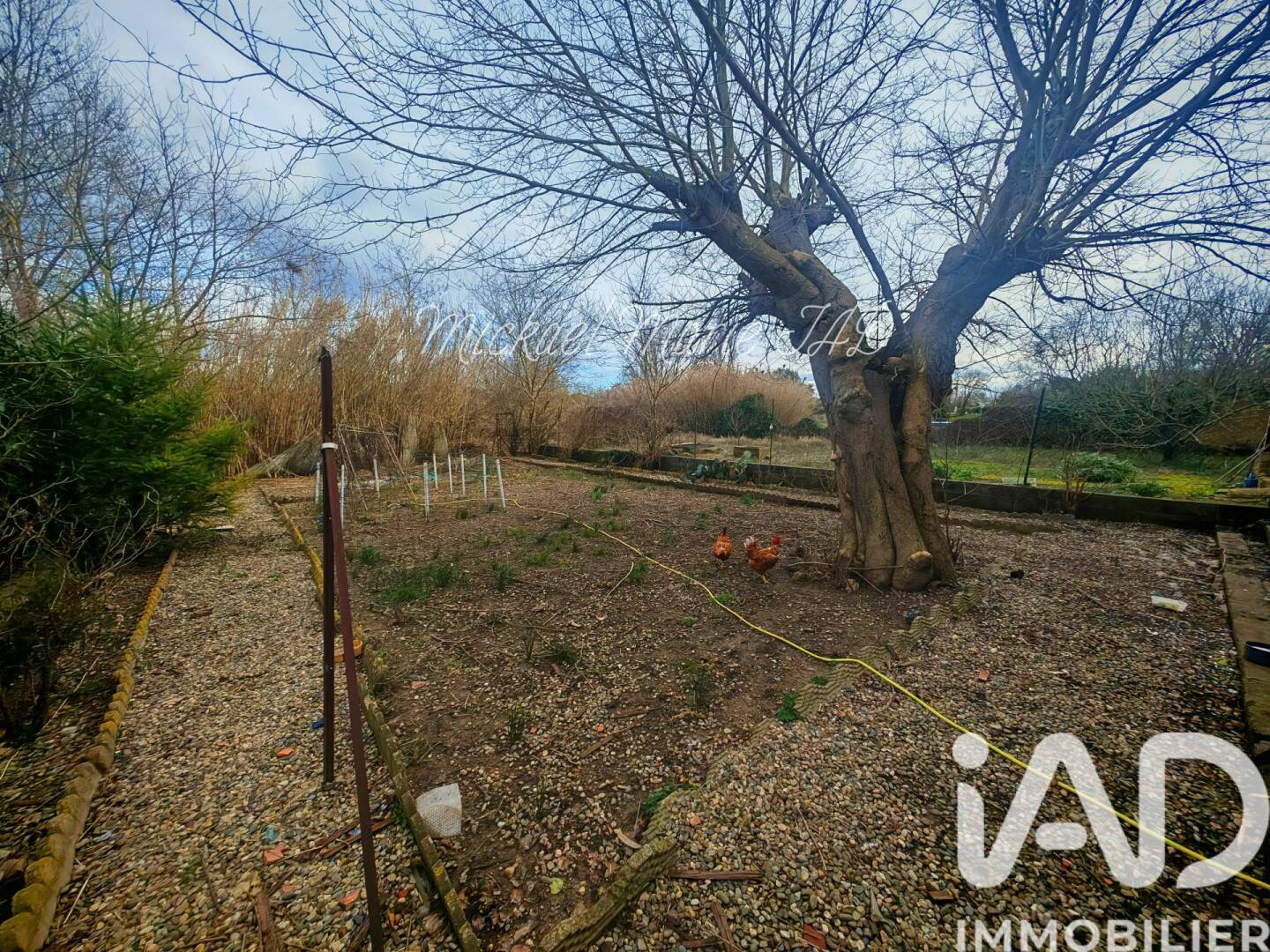 Maison à vendre, 155m², LIEURAN LES BEZIERS