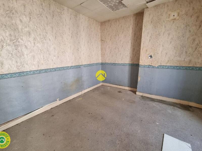 Maison à vendre, 224m², VIERZON