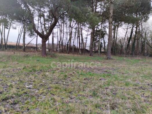 Terrain constructible viabilisé à vendre 229 000 € 548 m² de terrain Saint-Aubin-de-Médoc 33160